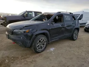 Jeep Cherokee TRAILHAWK 3.2L 6 2020
