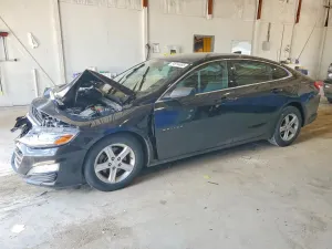 Chevrolet Malibu 1.5L 4 2019