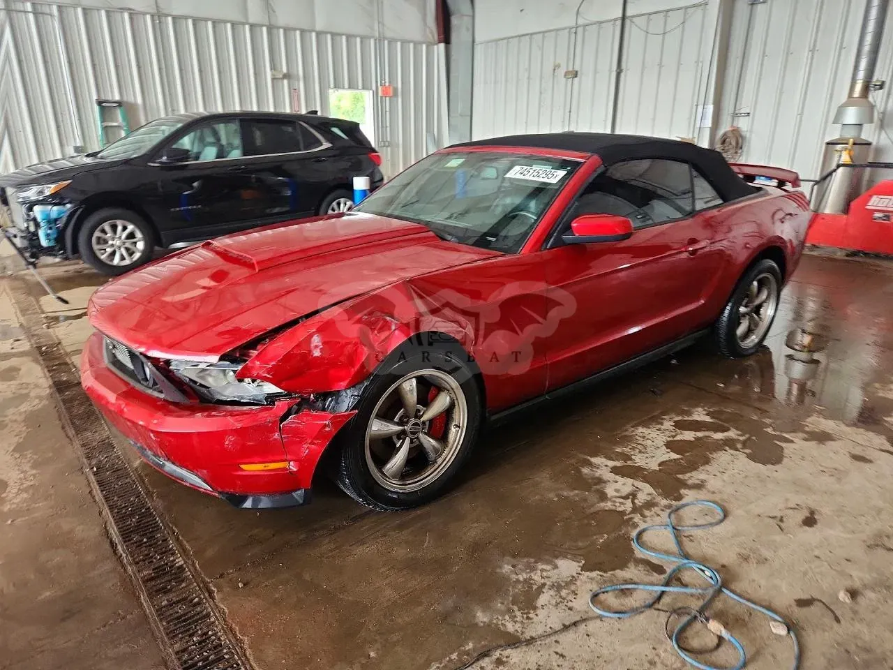 Ford Mustang 5.0L 8 2011