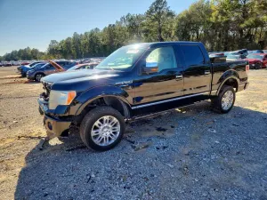 Ford F-150 5.4L 8 2009