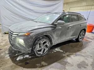 Hyundai Tucson 2.5L 4 2024