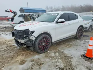 Alfa Romeo Stelvio 2.0L 4 2018