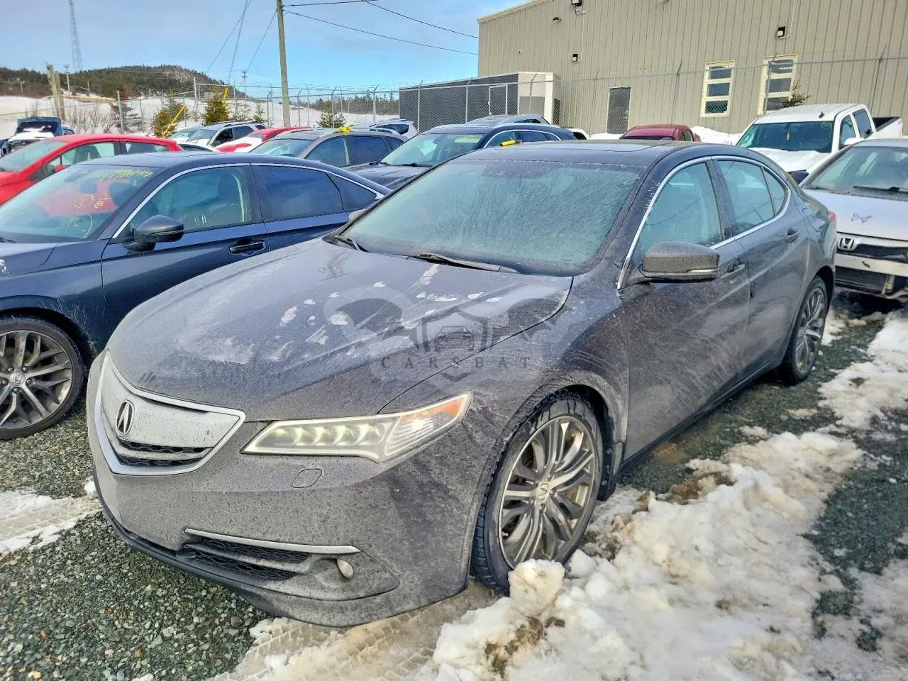 Acura TLX ADVANCE 3.5L 6 2017