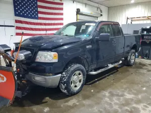 Ford F-150 4.6L 8 2004