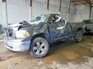 Dodge RAM 4.7L 8 2009