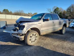 Ford F-150 SUPERCREW 5.4L 8 2010
