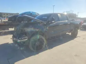 Ford F-250 SUPER DUTY 6.8L 8 2024