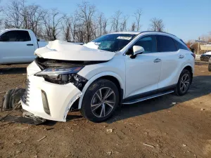 Lexus RX 350 BASE 2.4L 4 2024