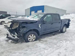 Ford F-150 5.0L 8 2022