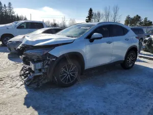 Lexus NX 350 PREMIUM 2.4L 4 2024