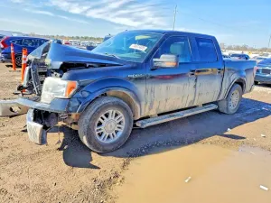 Ford F-150 5.0L 8 2012