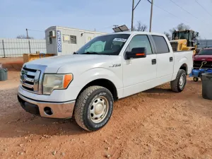 Ford F-150 4.6L 8 2010