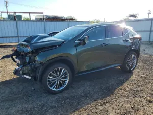 Lexus NX 2.5L 4 2025