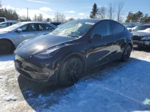 Tesla Model Y 2022