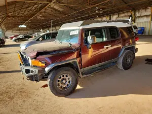 Toyota FJ Cruiser 4.0L 6 2007