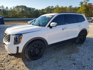 Kia Telluride 3.8L 6 2021