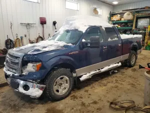Ford F-150 5.0L 8 2013