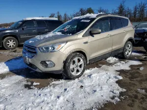 Ford Escape SE 1.5L 4 2017