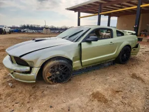 Ford Mustang GT 4.6L 8 2005
