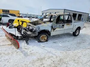 Ford F-150 4.6L 8 2002