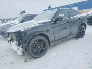 Alfa Romeo Stelvio 2.0L 4 2023