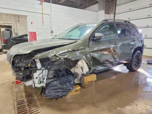 Jeep Cherokee TRAILHAWK 2.0L 4 2019