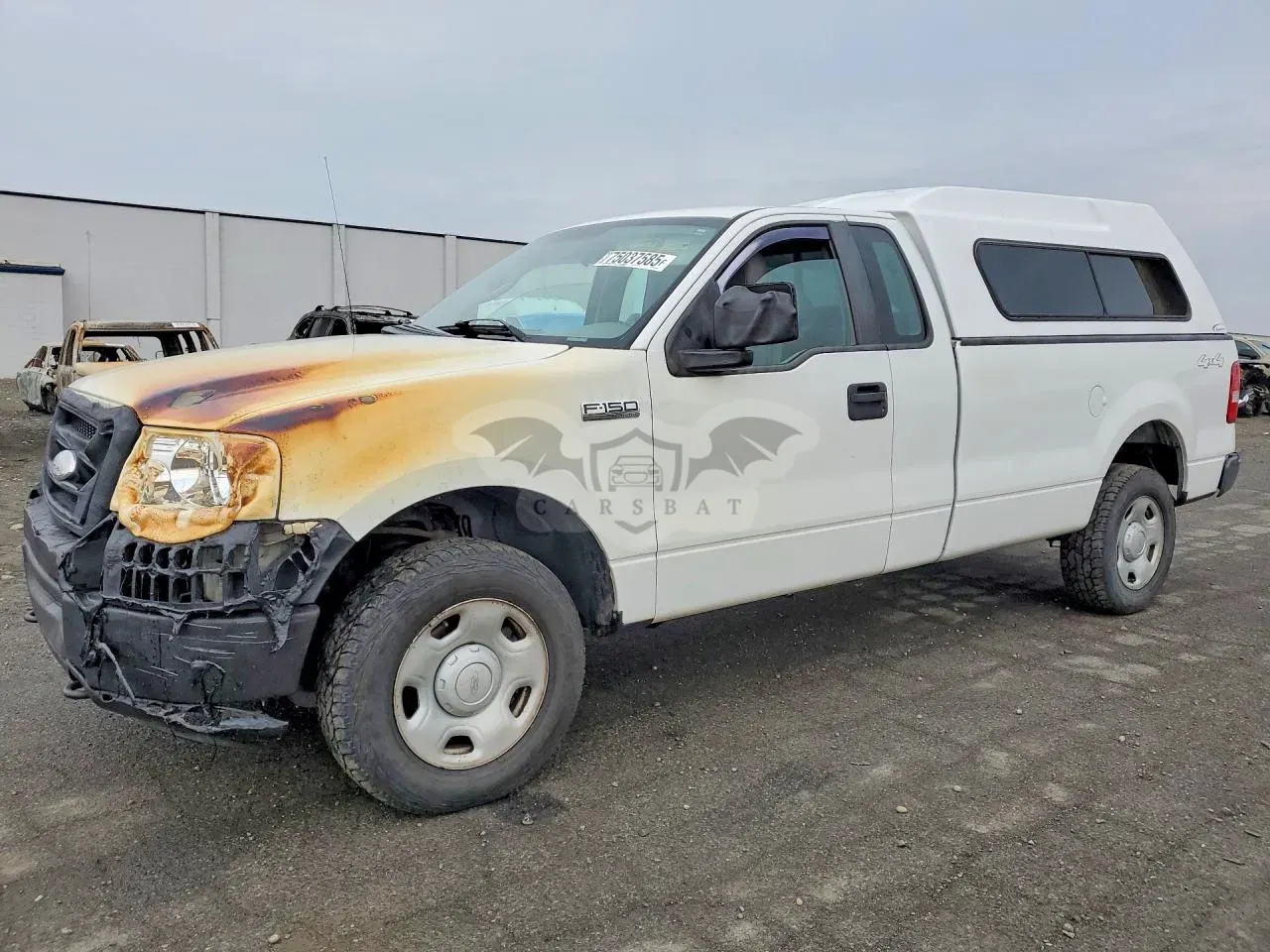 Ford F-150 4.6L 8 2008
