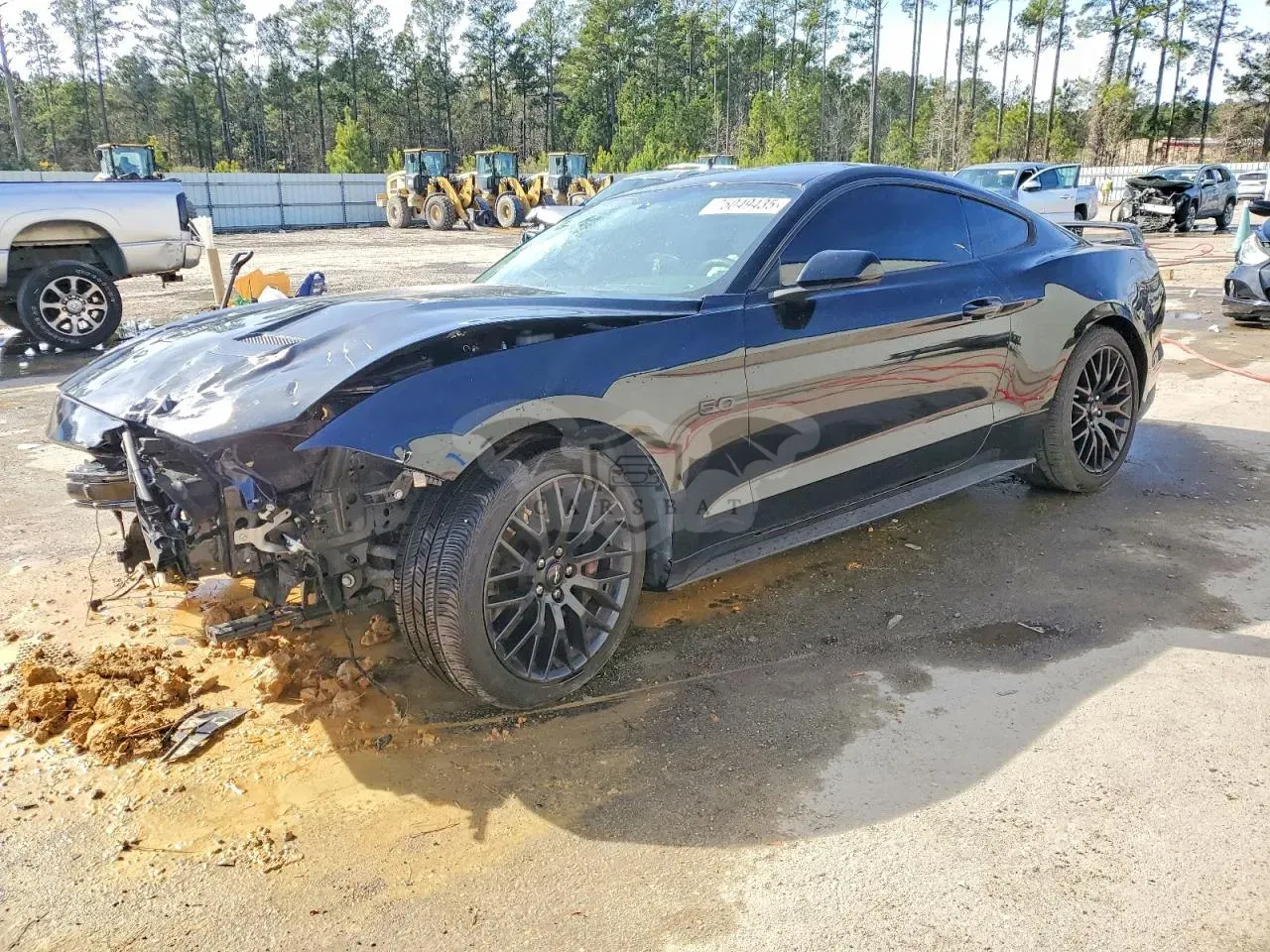 Ford Mustang GT 5.0L 8 2019