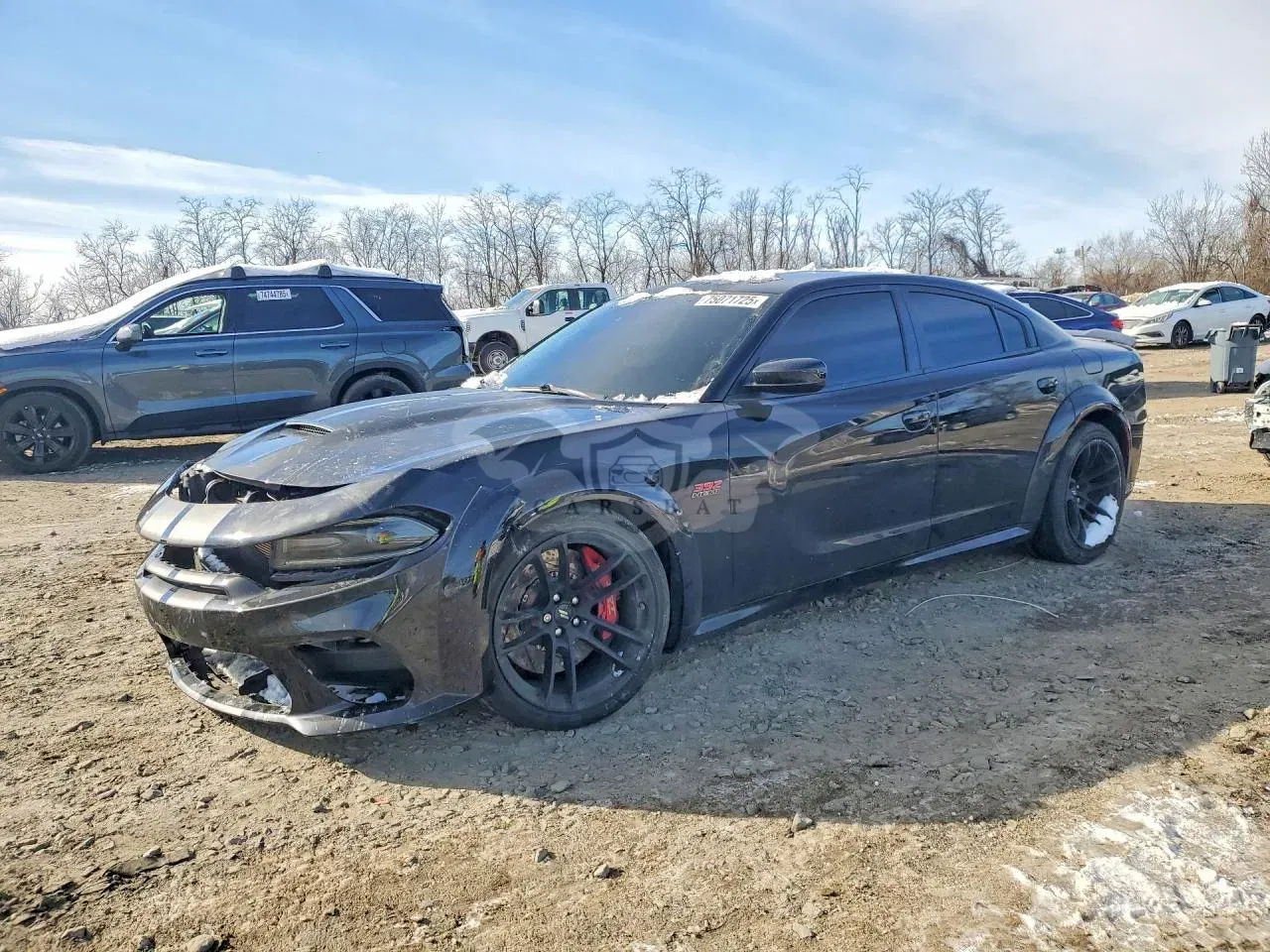 Dodge Charger SCAT PACK 6.4L 8 2021