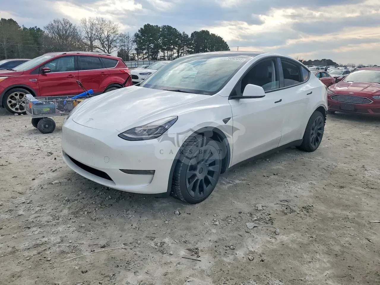 Tesla Model Y 2021