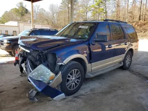 Ford Expedition EDDIE BAUER 5.4L 8 2010