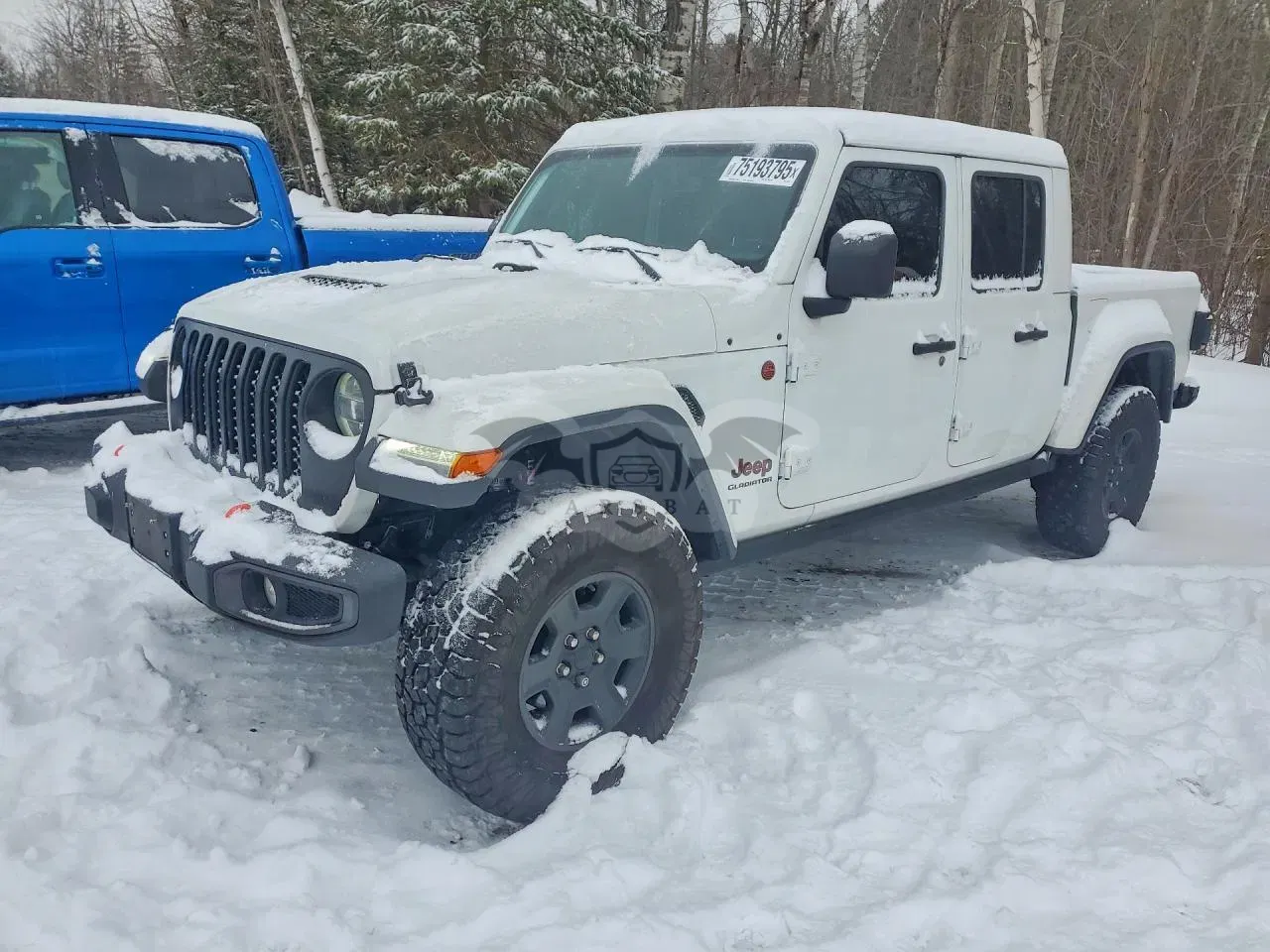 Jeep Gladiator MOJAVE 3.6L 6 2022