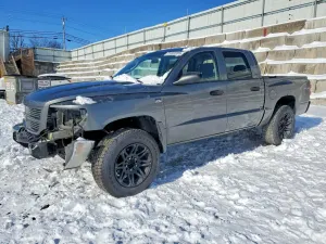 Dodge Dakota 4.7L 8 2010