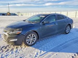 Chevrolet Malibu 1.5L 4 2020