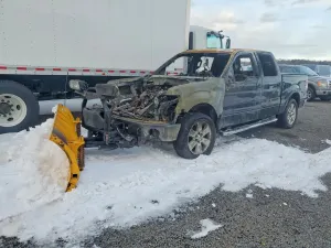 Ford F-150 5.4L 8 2010