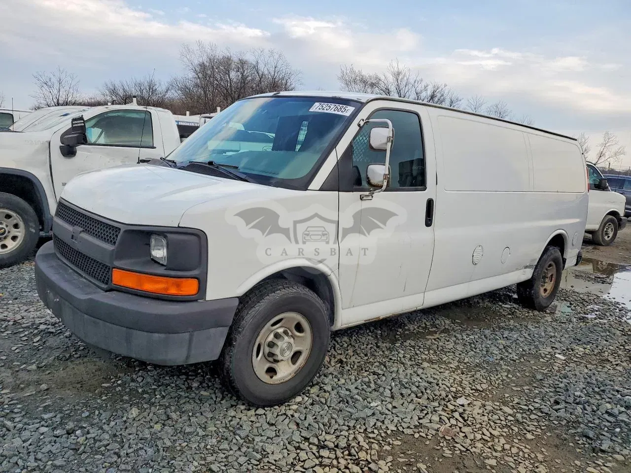 Chevrolet Express 4.8L 8 2008