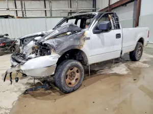 Ford F-150 5.4L 8 2004