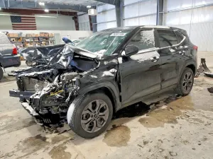 Kia Seltos LX 2.0L 4 2024