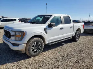 Ford F-150 SUPERCREW 5.0L 8 2023