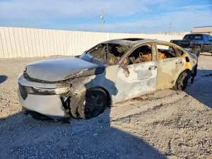 Honda Accord 1.5L 4 2025