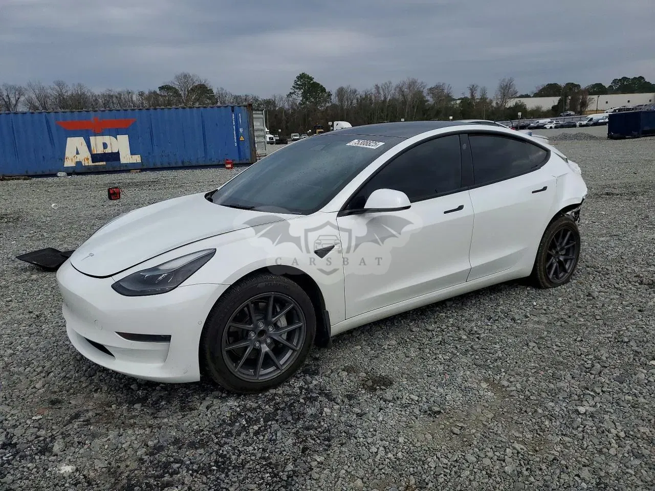 Tesla Model 3 2021