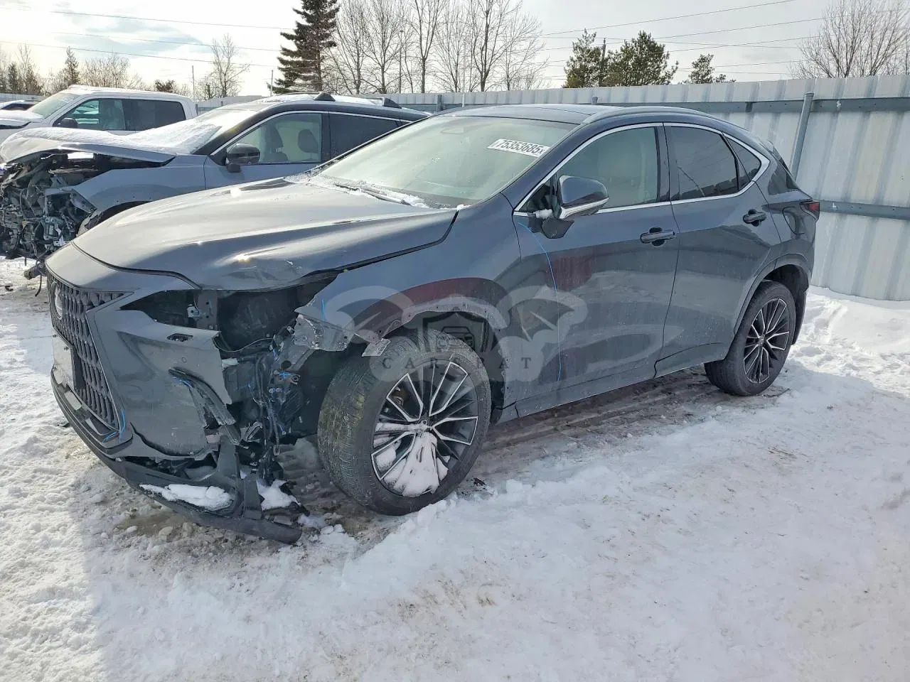 Lexus NX 350H 2.5L 4 2022