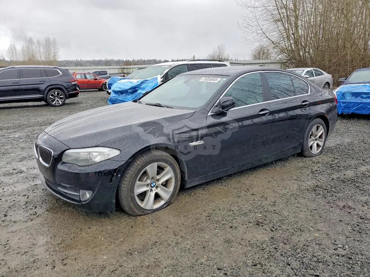 BMW 5 Series 2.0L 4 2013