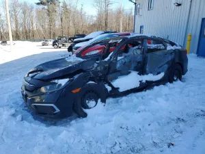 Honda Civic 2.0L 4 2020