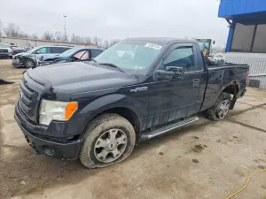 Ford F-150 4.6L 8 2010