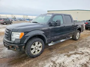 Ford F-150 SUPERCREW 5.4L 8 2010