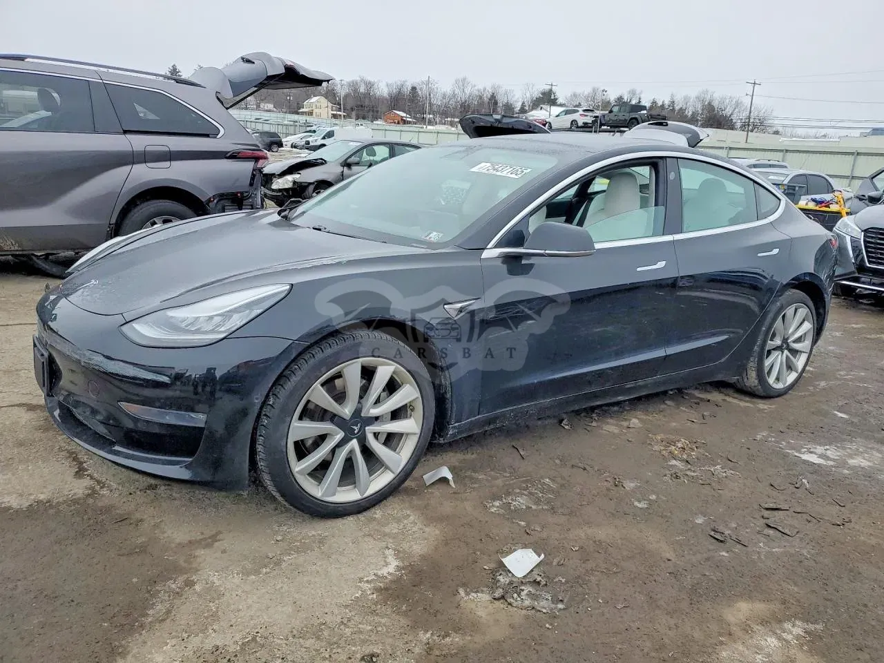 Tesla Model 3 2019