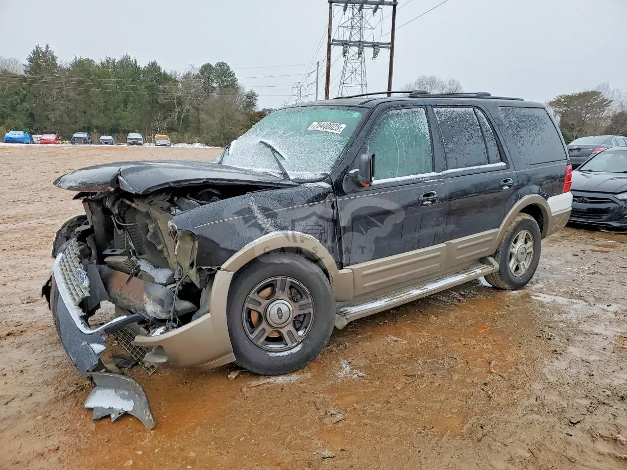 Ford Expedition EDDIE BAUER 5.4L 8 2004