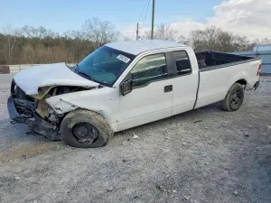 Ford F-150 5.4L 8 2006