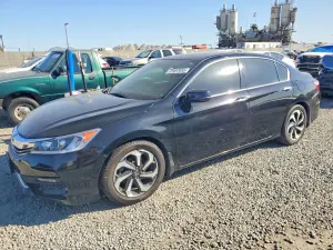 Honda Accord EXL 3.5L 6 2017